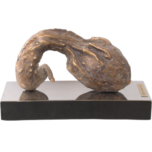 The author's bronze sculpture "Unidentified object #1"